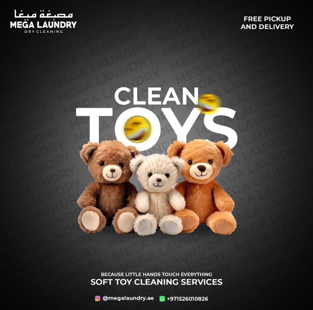 Mega Laundry Showcase 2