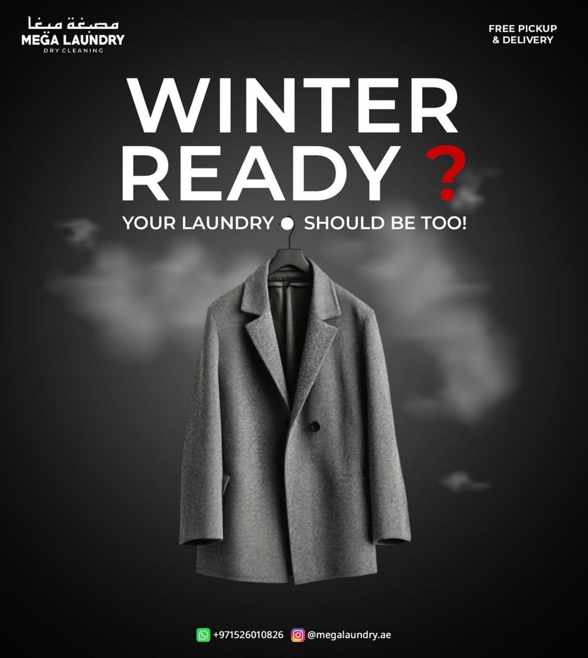 Mega Laundry Showcase 4