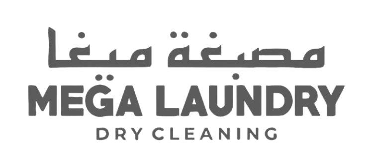 Mega Laundry Logo